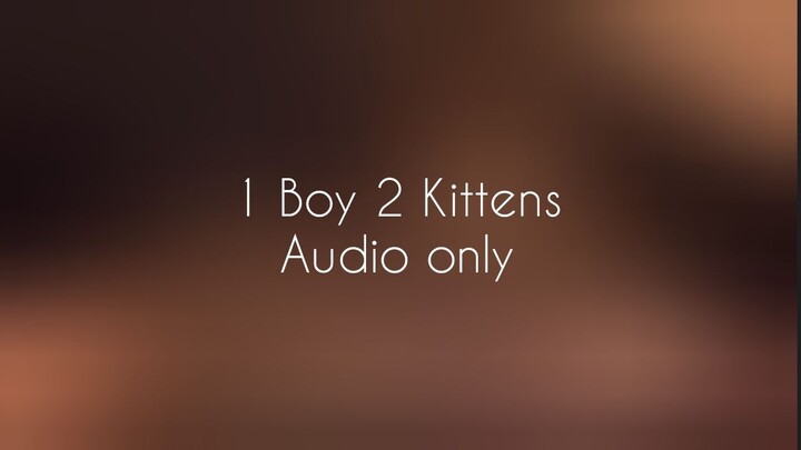 1 Boy 2 Kittens (Audio only)
