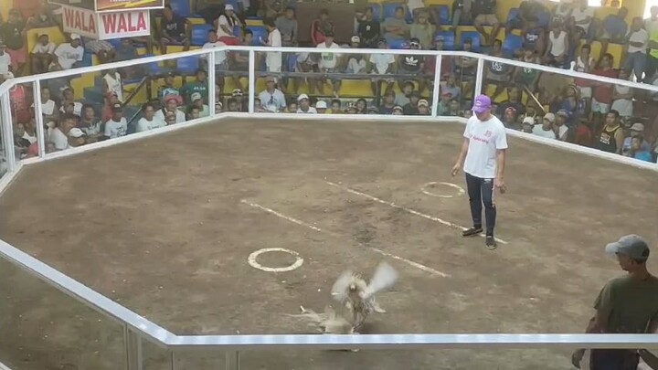 loss @MDB cockpit Meron side