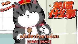 Guan Miao Shenmeshi - แก๊งสี่ขากับนายมังงะ (Hate) [AMV] [MAD]