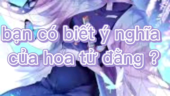 ý nghĩa của hoa tử đằng | KnY | by me