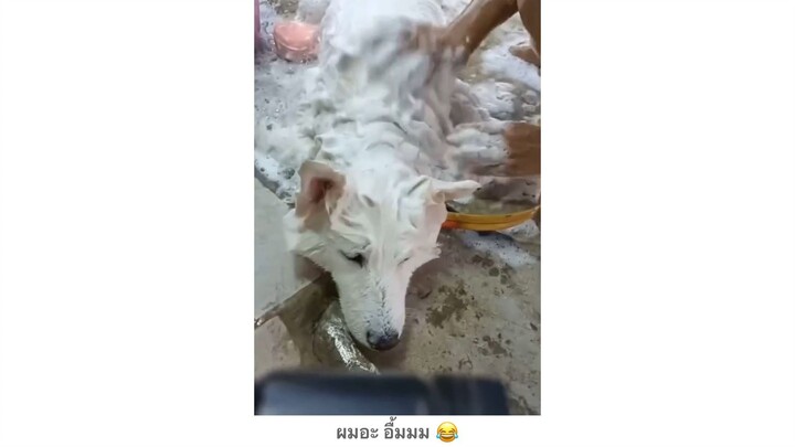 ผมอะ อื้มมม