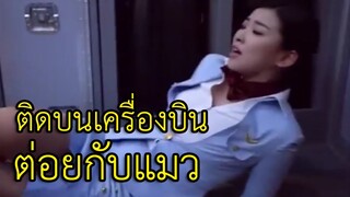 ติดอยู่บนเครื่องบินที่กำลังบิน แถมโดนแมวตามล่าอีก (สปอยหนัง)