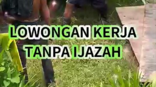 huburan boss qw...