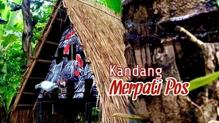 Inspirasi kandang merpati pos sederhana