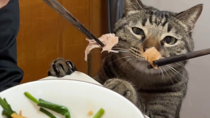 Ketika Ayah dan Ibu memberi makan A Bao secara bersamaan