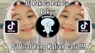 DJ PAK CU PAK CU PAKYU WHY ME LORD VIRAL TIK TOK TERBARU 2022 YANG KALIAN CARI ! ARIF DU