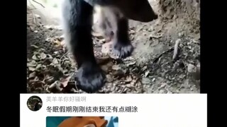 #热评文案#搞笑#娱乐#分享快乐