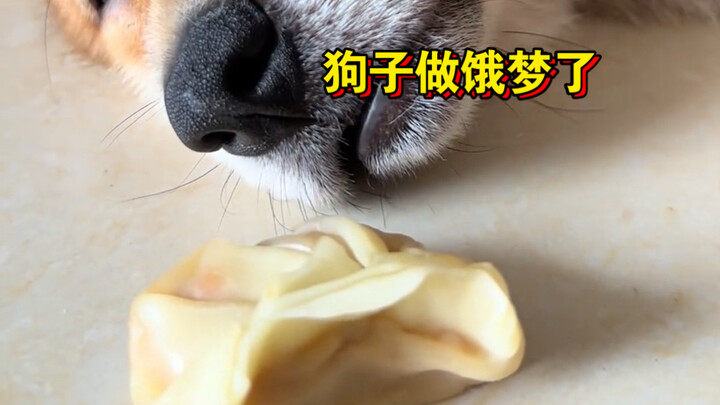 Doggy’s boot-up speed beats 1% of the nation.