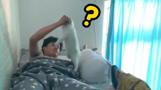 Cat: "Even if you call me again, I won't come!!!"