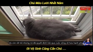 Chú Mèo Lười Nhất Năm Đi Ị Cũng Cần Chủ | LT Review