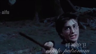 刻入DNA的那些咒语，时隔多年依旧感动