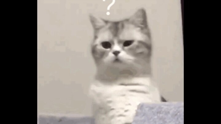 Những ký ức đã chết bất ngờ ập đến với tôi