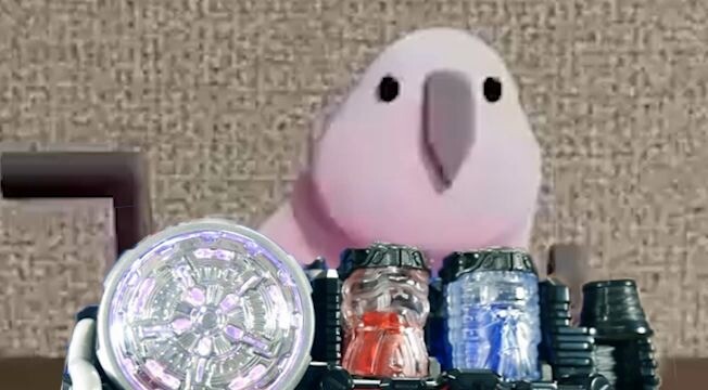 The parrot that is about to become Kamen Rider Oppai【partyparrot】