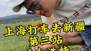 Chúng tôi bắt taxi từ Thượng Hải đến điểm dừng chân thứ ba ở Tân Cương - Hohhot, Nội Mông! Chúng tôi