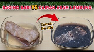 EKSPERIMEN 24 JAM DIRENDAM: CAIRAN ASAM LAMBUNG vs DAGING BABI