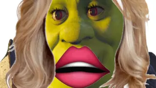 Sister shrek is here welcome her before she poisons you using her expired make ups