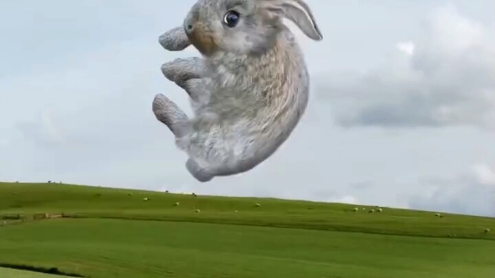 Polusi
