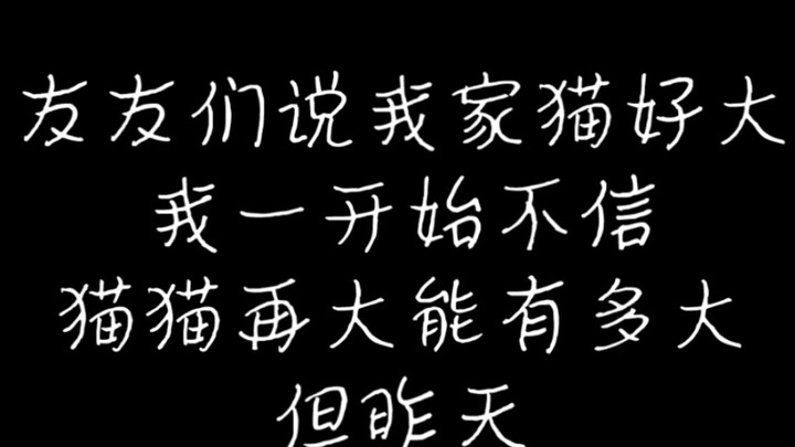 Mèo đồng quê × Quái thú đồng quê✓