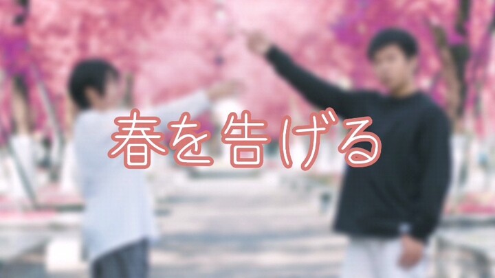 【ซีเฟิง×ซิงw】ประกาศถึงฤดูใบไม้ผลิ / ประกาศถึงฤดูใบไม้ผลิ