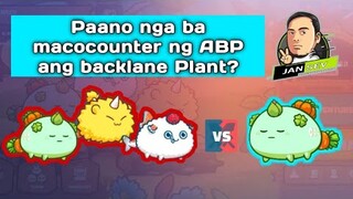 Paaano mo macocounter ang Backlane Plant Strategy? ABP team vs Backlane Plant