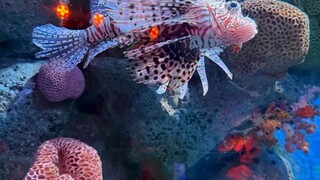 你要相信——每一次不被看好的坚持，每一个默默努力的清晨，都会在未来的某个时刻，变成别人羡慕的故事。别让昨天的情绪，影响今天的步伐。收起焦虑，带着目标去生活。因为你不是普通人，你是正在成