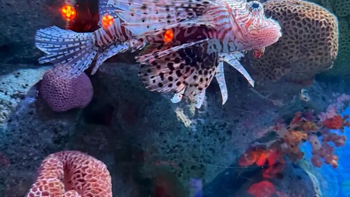 你要相信——每一次不被看好的坚持，每一个默默努力的清晨，都会在未来的某个时刻，变成别人羡慕的故事。别让昨天的情绪，影响今天的步伐。收起焦虑，带着目标去生活。因为你不是普通人，你是正在成