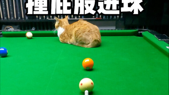 撞屁股进球