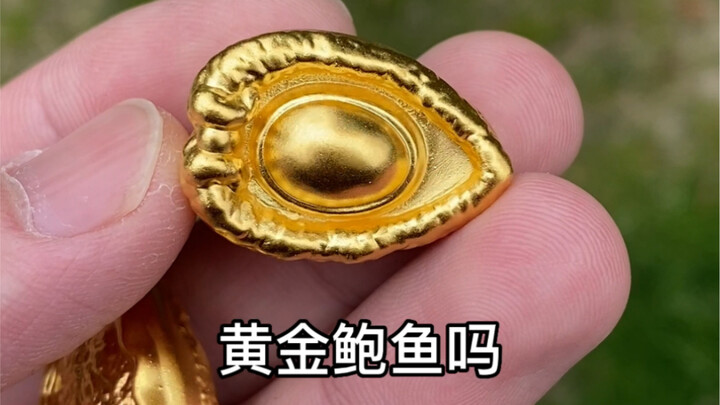 A meal of 30 abalones