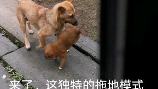 It was raining outside again: this time the culprit was caught red-handed, and there was no way he c