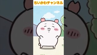 【ちいかわ】ちいかわのカニ衣装バージョン(タパスタダンス)