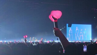 SHUTDOWN - BLACKPINK (BORNPINK WORLD TOUR JAKARTA DAY 2)