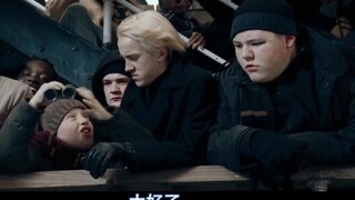 Rumput Halaman Kualitas Tinggi Slytherin - Draco Malfoy