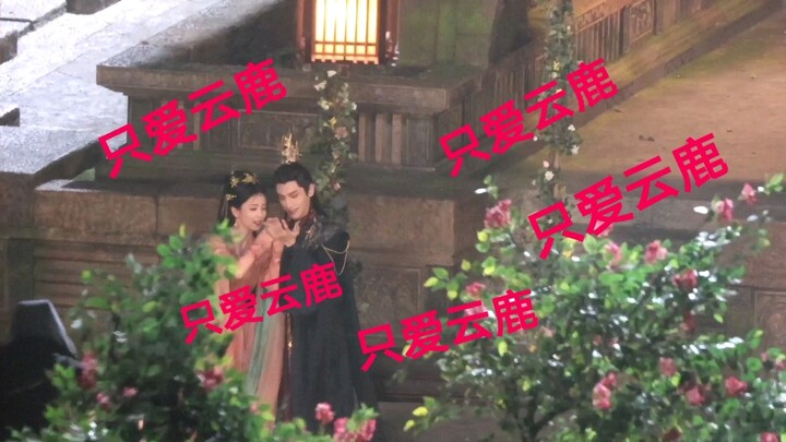 《罗云熙x白鹿》长月烬明～甜蜜的两娃 看到最后的画面我醉了