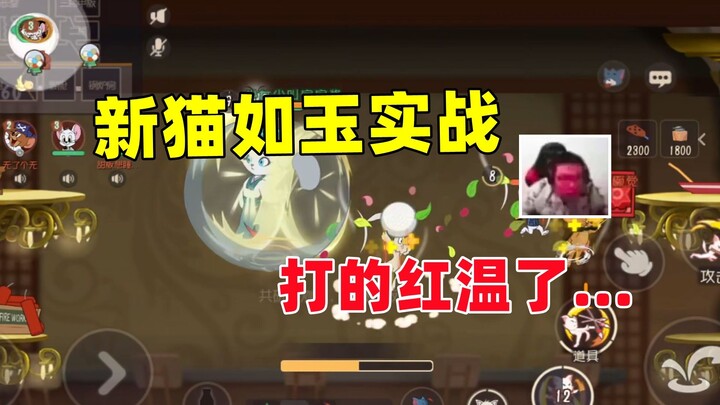 猫和老鼠手游：新猫角色如玉实战 打红温了...