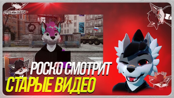 🐺 Роско комментирует свои старые видео 🎞️