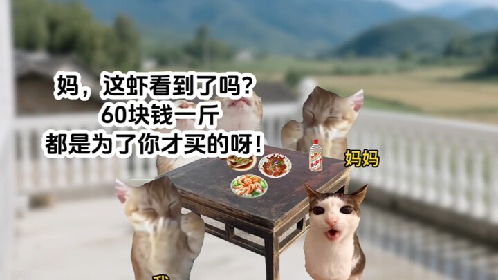 When I Play the Chinese Education Meme