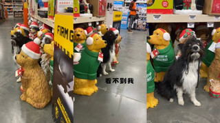 看不到我看不到我🙈