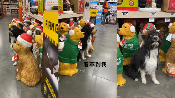 Không nhìn thấy tôi, không nhìn thấy tôi 🙈