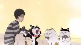 ขอบคุณที่ได้รับความรักหลากหลายรูปแบบ 【รอยัลแคทของฉัน】