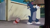 Tom & Jerry Lesson | Cartoon WB /  汤姆和杰瑞卡通 / ทอมและเจอร์รี่  การ์ตูน