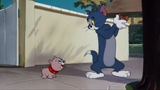 Tom & Jerry Lesson | Cartoon WB / 汤姆和杰瑞卡通 / ทอมและเจอร์รี่ การ์ตูน