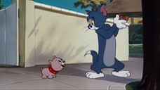 Tom & Jerry Lesson | Cartoon WB /  汤姆和杰瑞卡通 / ทอมและเจอร์รี่  การ์ตูน