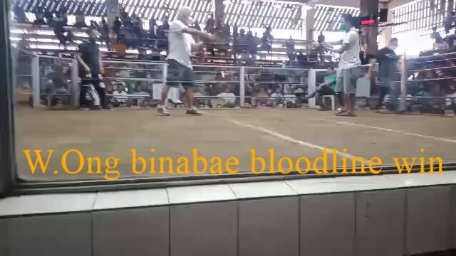 our binabae from Maco of Aklan