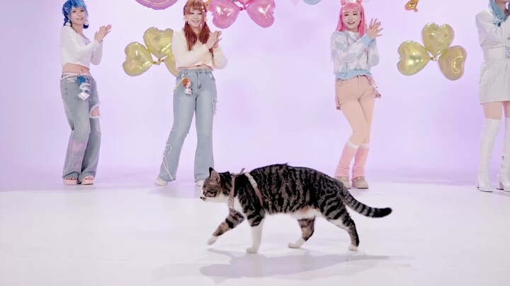 ท่าเต้นกึ่งออริจินัลหนีกลางคันไปแล้ว ให้เราไปหาตัวแทนที่ไหนเนี่ย?!