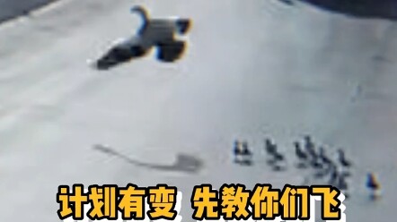 Little Duckling: What about the promised motherly love?