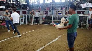 3hits ulutan malolos cockpit arena FIRST FIGHT ZANINO WHITES