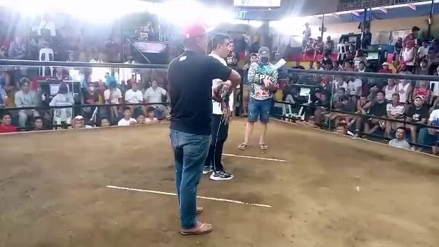 manok na pula,.Dec 2 ,2023