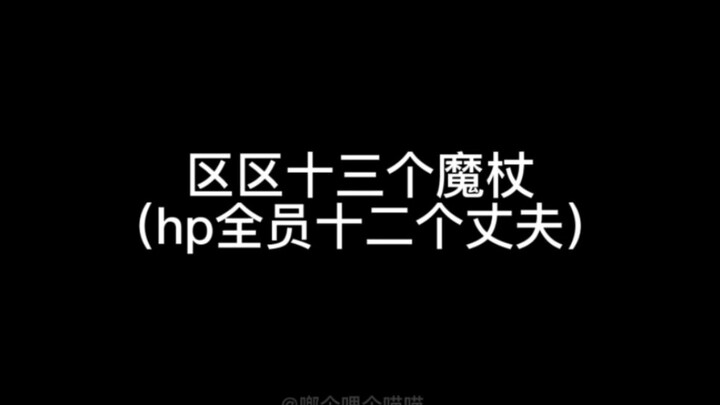 【hp乙女】区区十三个魔杖