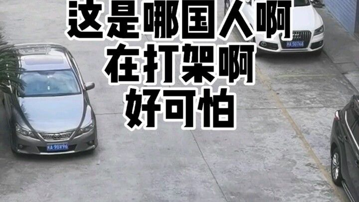 [First Beast Cat] What’s the difference between this and just pooping in the middle of the street?