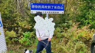 狗子凌晨偷跑出家被陌生男子抓走吃了 狗子凌晨偷跑出被抓了吃掉